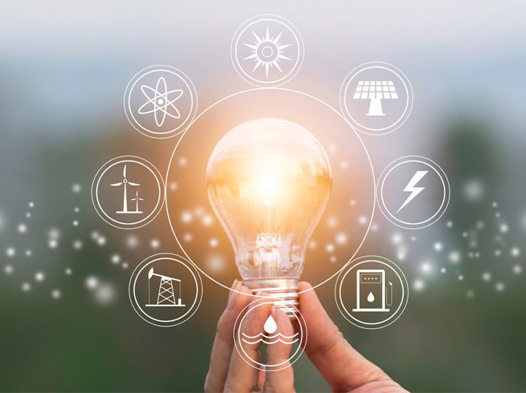 conservation station jpg