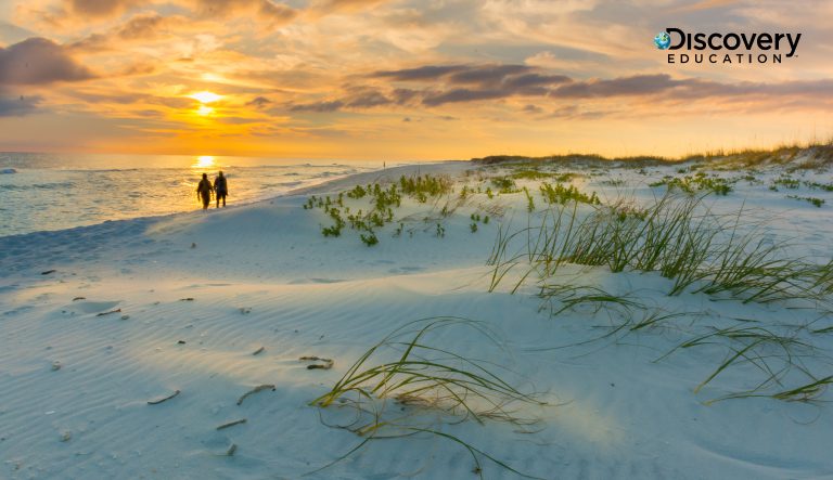 DE PR Florida 2024 01