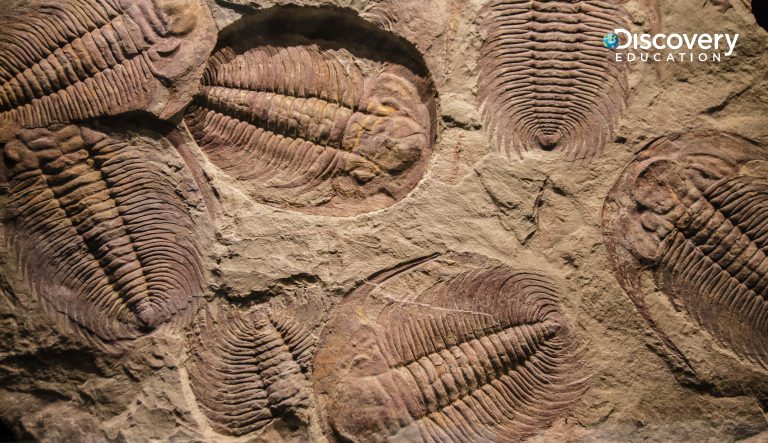 DE PR Science 2024 14