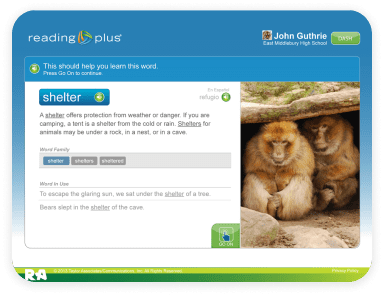 de supporting literacy rp 5 pillars