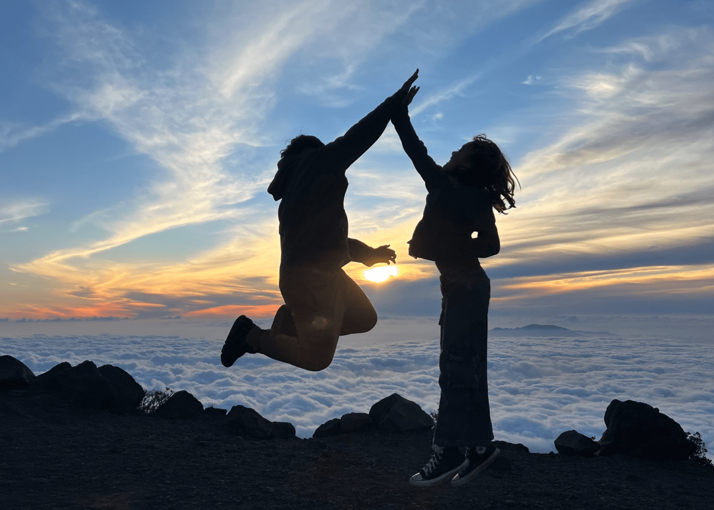 Sesame VFT2 Thumbnail 700x500 2x